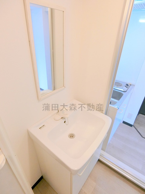 ライオンズマンション大森本町第2の洗面所