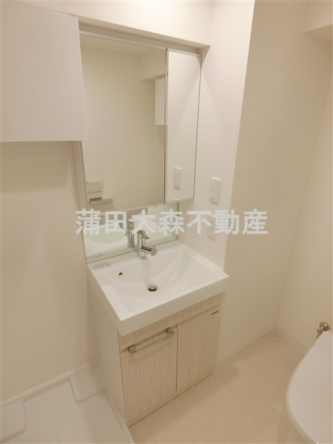 REALIZEレアライズ蒲田Ⅲの洗面所|洗面所　独立洗面台