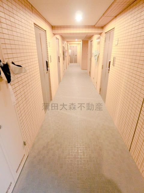 KDXレジデンス雪谷大塚のその他共用部分|共用廊下