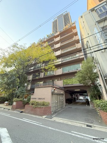 江戸堀アーバンライフ　仲介手数料無料