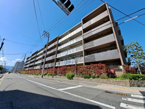 甲子園三番町ハイツの外観