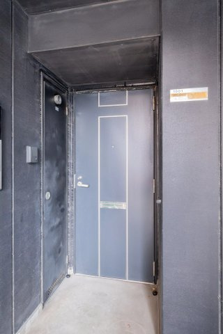 AP945 シグマケミカル名古屋ビル 1001の玄関|

