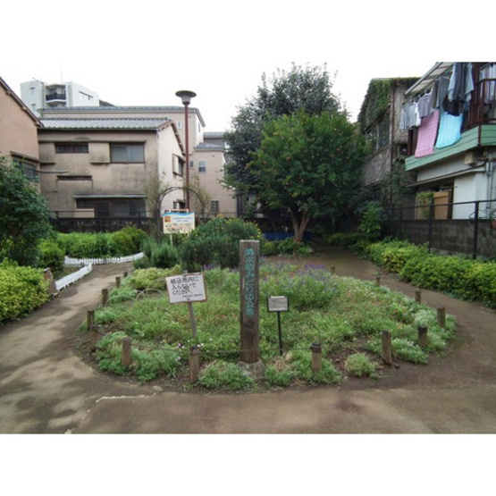 【周辺】 | ソレイユ清水 | 公園「清水町みどり公園まで260ｍ」公園