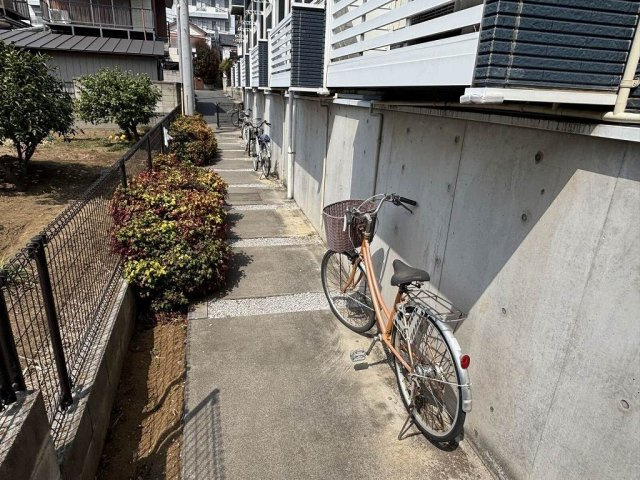レオネクストセレーネのその他