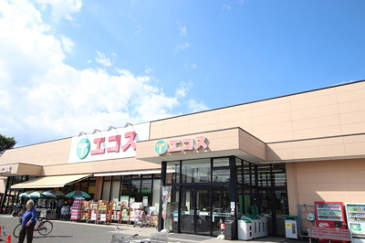 TAIRAYA川口店まで2500m