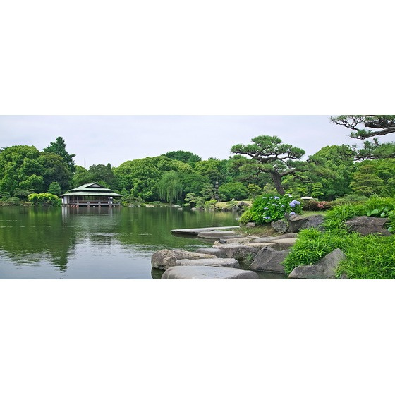 ダイヤモンドレジデンス白河第二の周辺|その他周辺「ローソンストア100まで147ｍ」都立清澄庭園