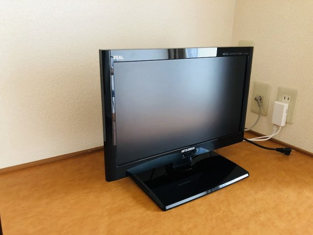 レオパレスフォルテのその他|TV