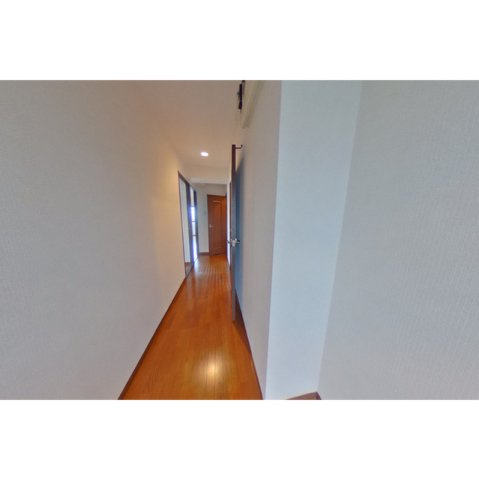 ルミナス島のその他