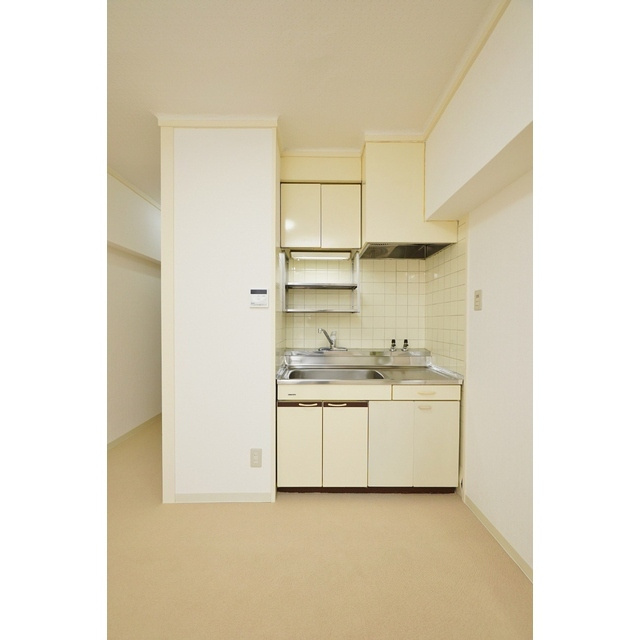 岐阜市県町２丁目の賃貸マンションのキッチン|キッチン