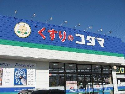 シャトーレ国府の周辺|くすりのコダマ上越国府店まで400m