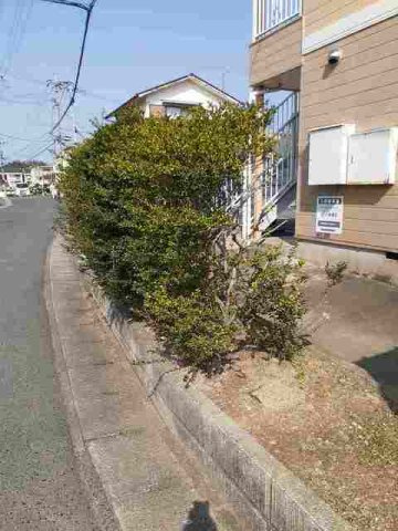 一号線ハイツ（Ａ）のその他