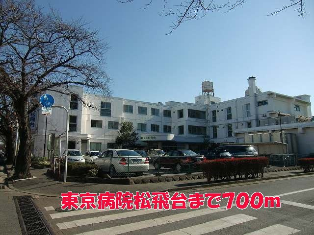 アイランドヒルズの周辺|東京病院松飛台まで700m