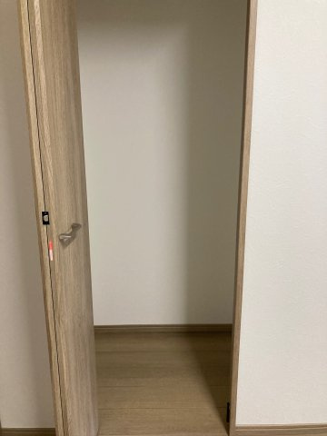 ラ　ヴィエルジュの収納