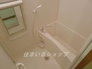 ドリームシャトー深川の浴室