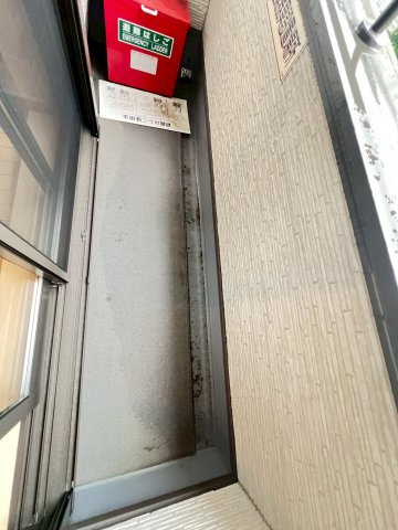 ワンズ・ガーデンの展望