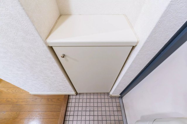 AP820 ル・ソレイユ21 507の収納|

