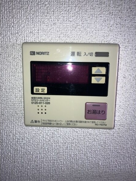カルティエアラタマのその他