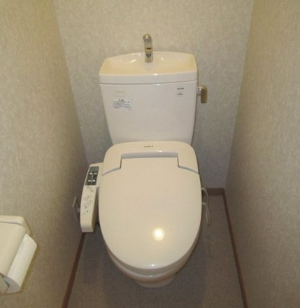 川崎市多摩区菅北浦３丁目の賃貸マンションのトイレ