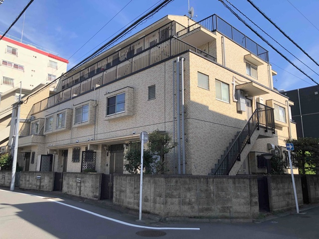 ベルビーマシコ
