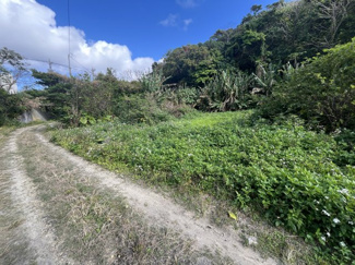 【外観】 | 沖縄市登川(283.14坪/936㎡)