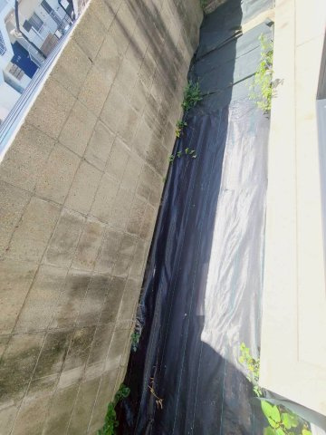 河内メゾンのバルコニー