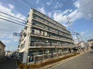 グレイシィーK・Yの画像