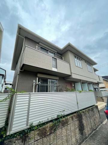 ベヌスタ丸橋