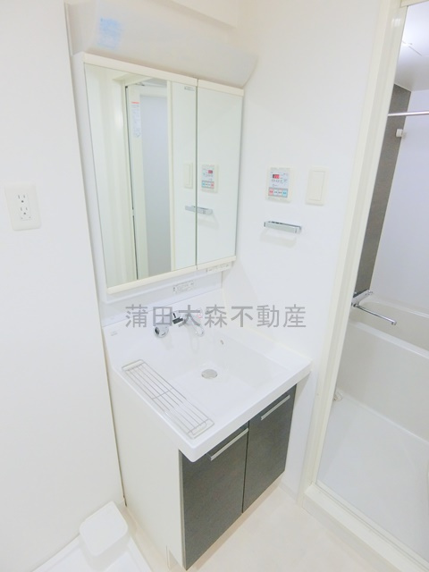 ヴォーガコルテ蒲田南の洗面所