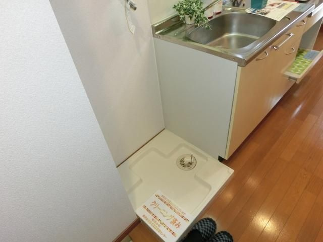 カーザミアのその他