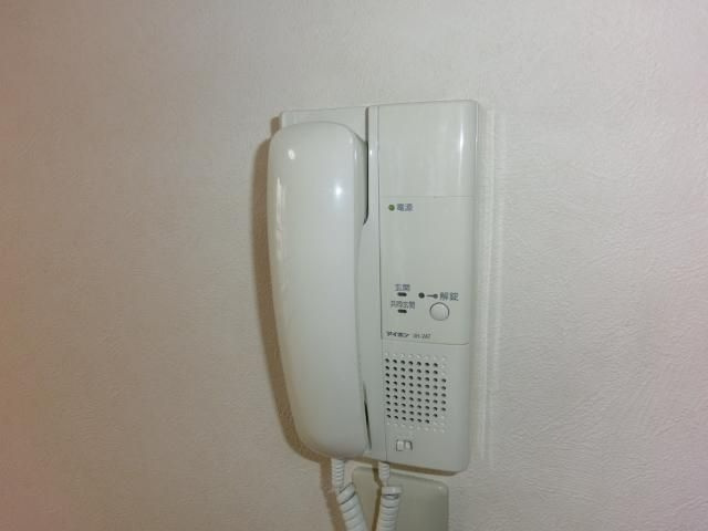 カーザミアのセキュリティ