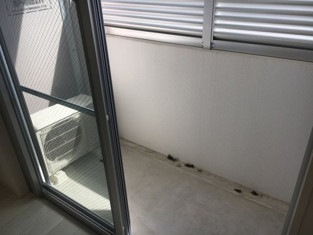 ラフィーユテラスのバルコニー