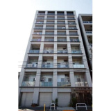 KAMOME（カモメ）の画像