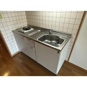 福岡市南区市崎１丁目の賃貸マンションのキッチン