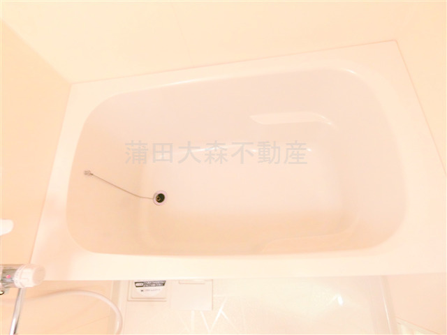 ラインハウス池上の浴室