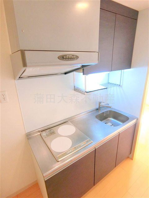 ラインハウス池上のキッチン|2口IHシステムキッチン　