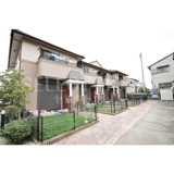 Ｐｒｉｍ　ｒｏｓｅの画像