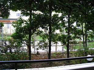 ステラメゾン武蔵小山の展望|バルコニーからの眺め