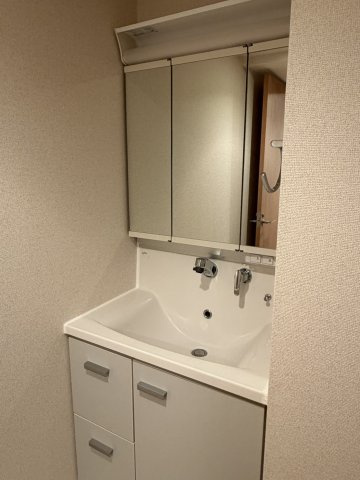 パークアクシス元浅草ステージの洗面所