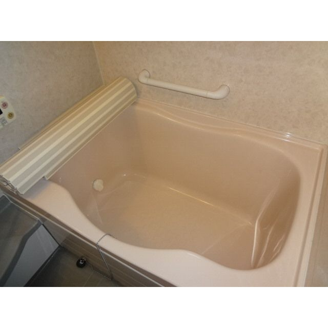 伊加賀本町平屋の浴室