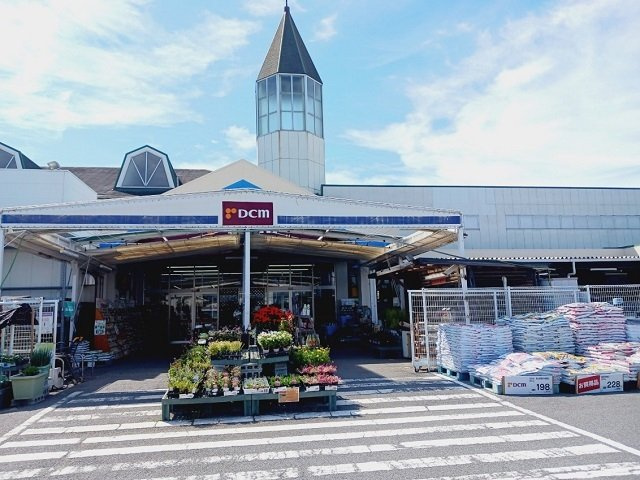 【周辺】 | シティハイツ沖 | ＤＣＭ伊予店様まで850m