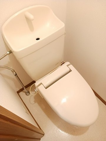 カーサ　ラウレールⅡのトイレ|落ち着いたトイレです