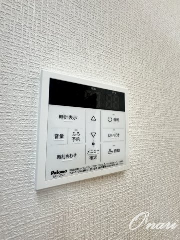 ドミール・ジャルヴェルデイーストのその他