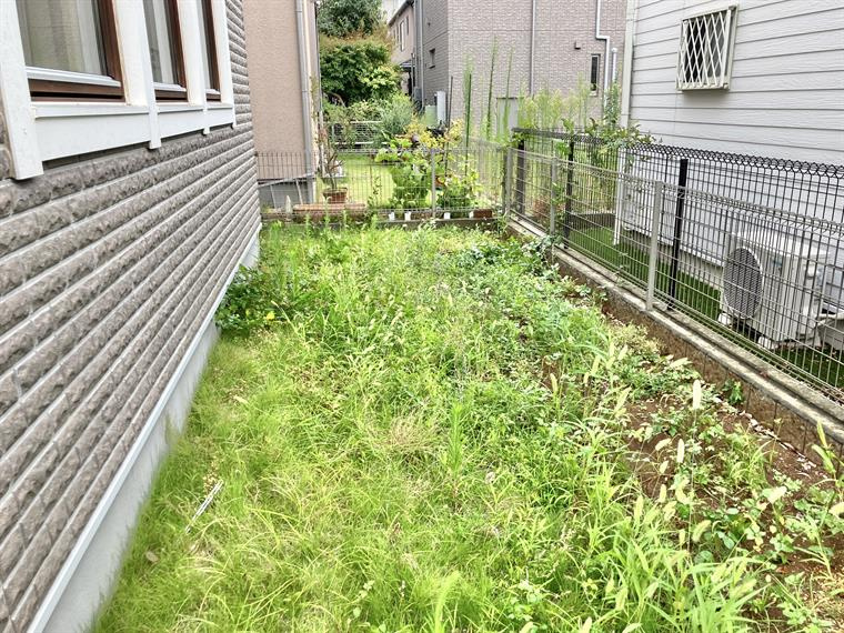堀之内戸建の庭
