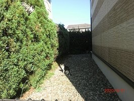 レオパレス春日のその他