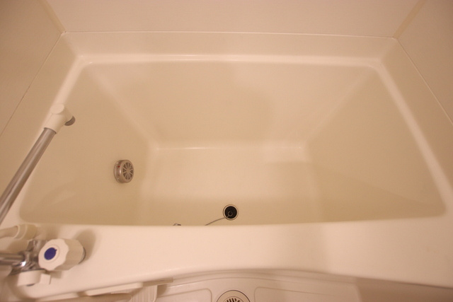 バス