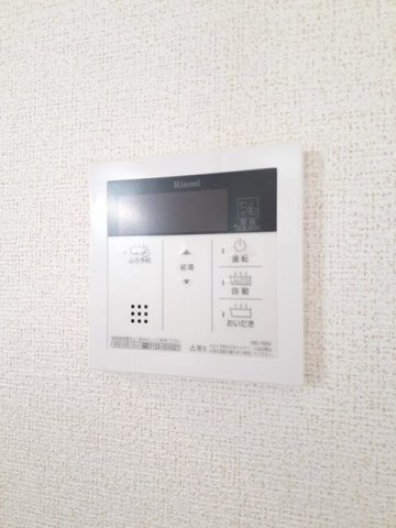 Ａｃｒｏ　ｐｏｌｉｓⅠのその他