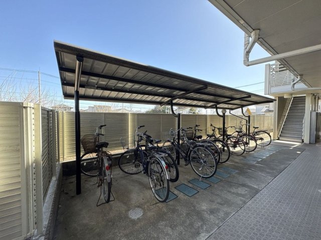 レオネクストヴィオラのその他