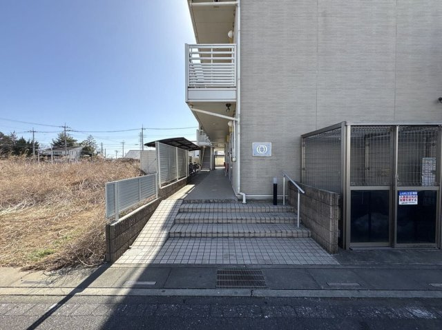 レオネクストヴィオラのその他