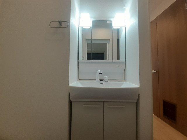 グランメゾン雅の洗面所