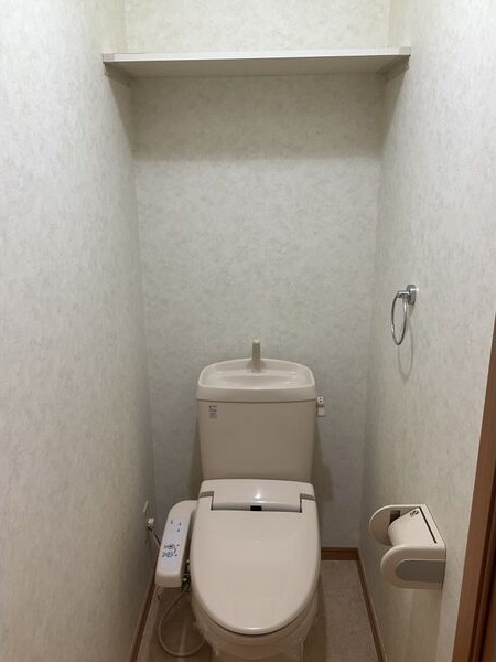 水沢ステーションアベニューF棟のトイレ